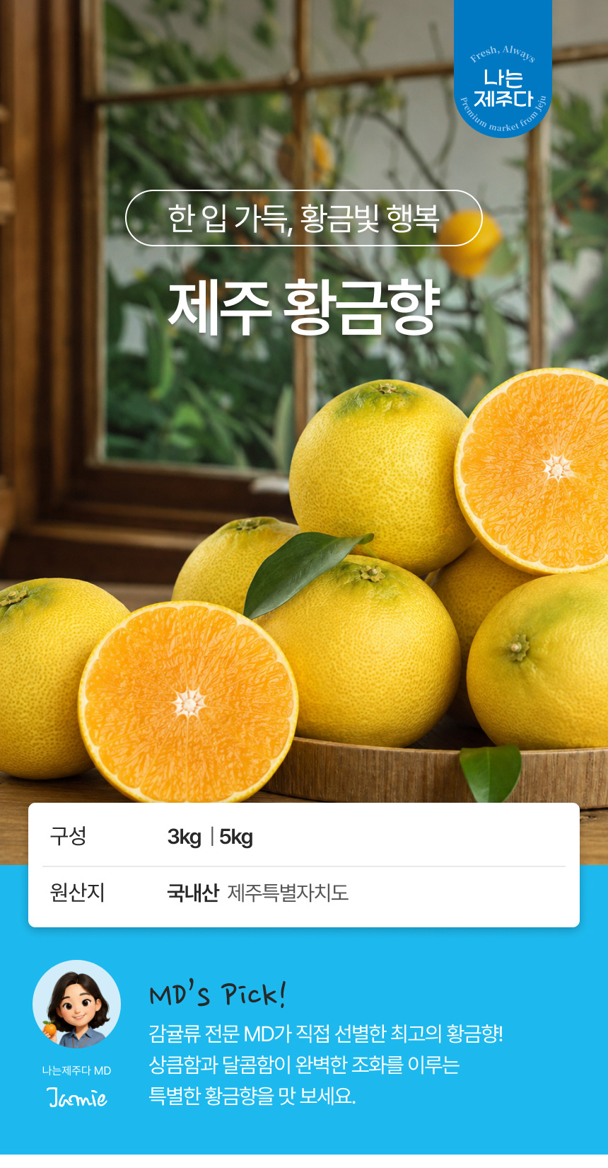 [한섬누리]제주 고당도 하우스감귤 3kg 5kg 10kg 가정용 선물용 제주감귤