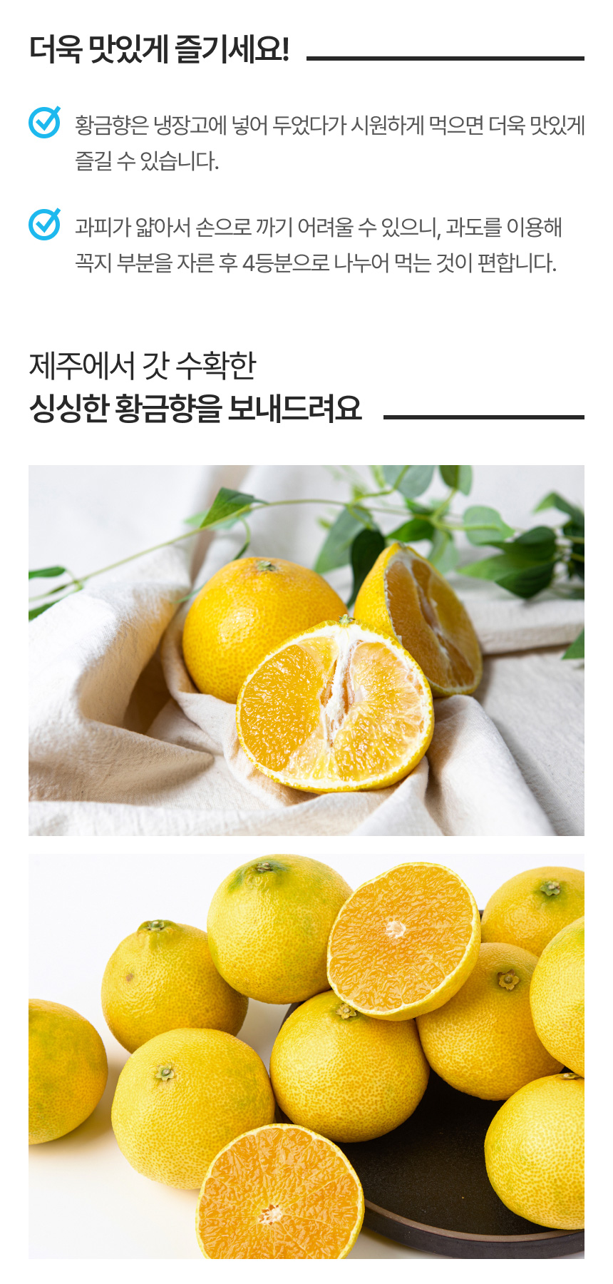 [한섬누리]제주 고당도 하우스감귤 3kg 5kg 10kg 가정용 선물용 제주한라봉