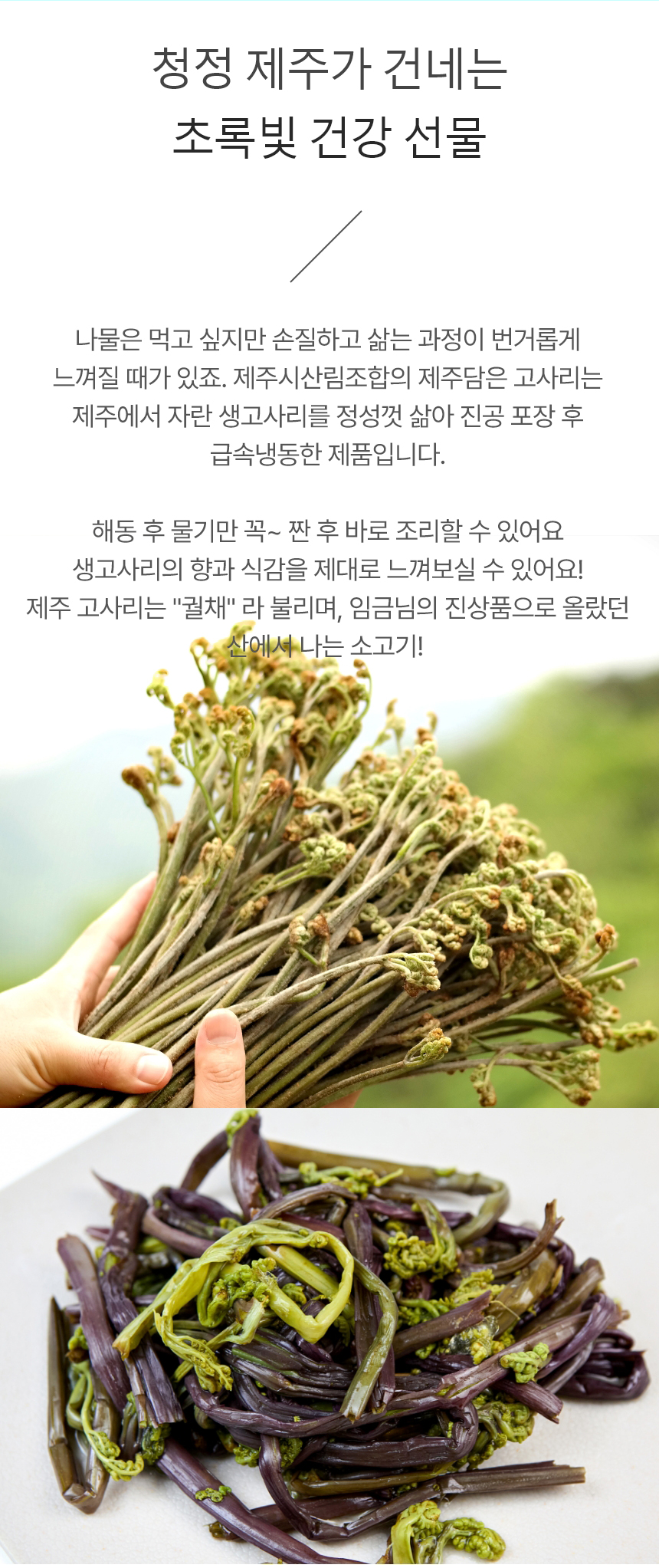 고사리,제주고사리,삶은고사리,간편조리,제주산지직송,제주산림조합,국내산나물,나물반찬,제사나물,나물비빔밥,산채비빔밥