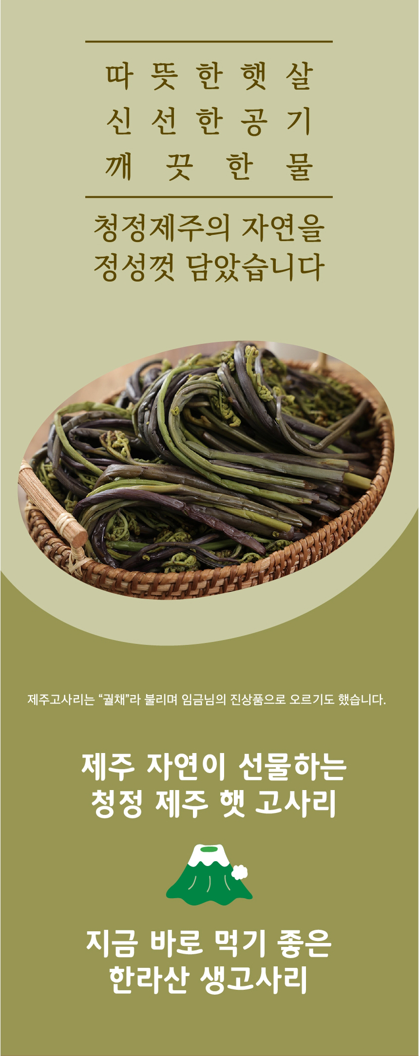 고사리,제주고사리,삶은고사리,간편조리,제주산지직송,제주산림조합,국내산나물,나물반찬,제사나물,나물비빔밥,산채비빔밥