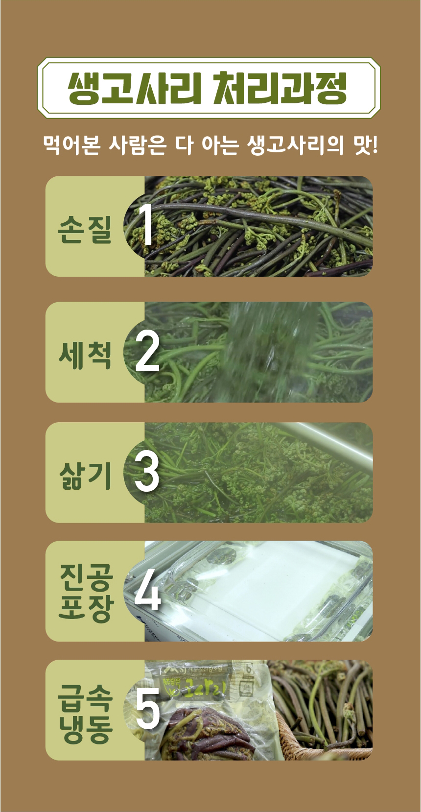 고사리,제주고사리,삶은고사리,간편조리,제주산지직송,제주산림조합,국내산나물,나물반찬,제사나물,나물비빔밥,산채비빔밥
