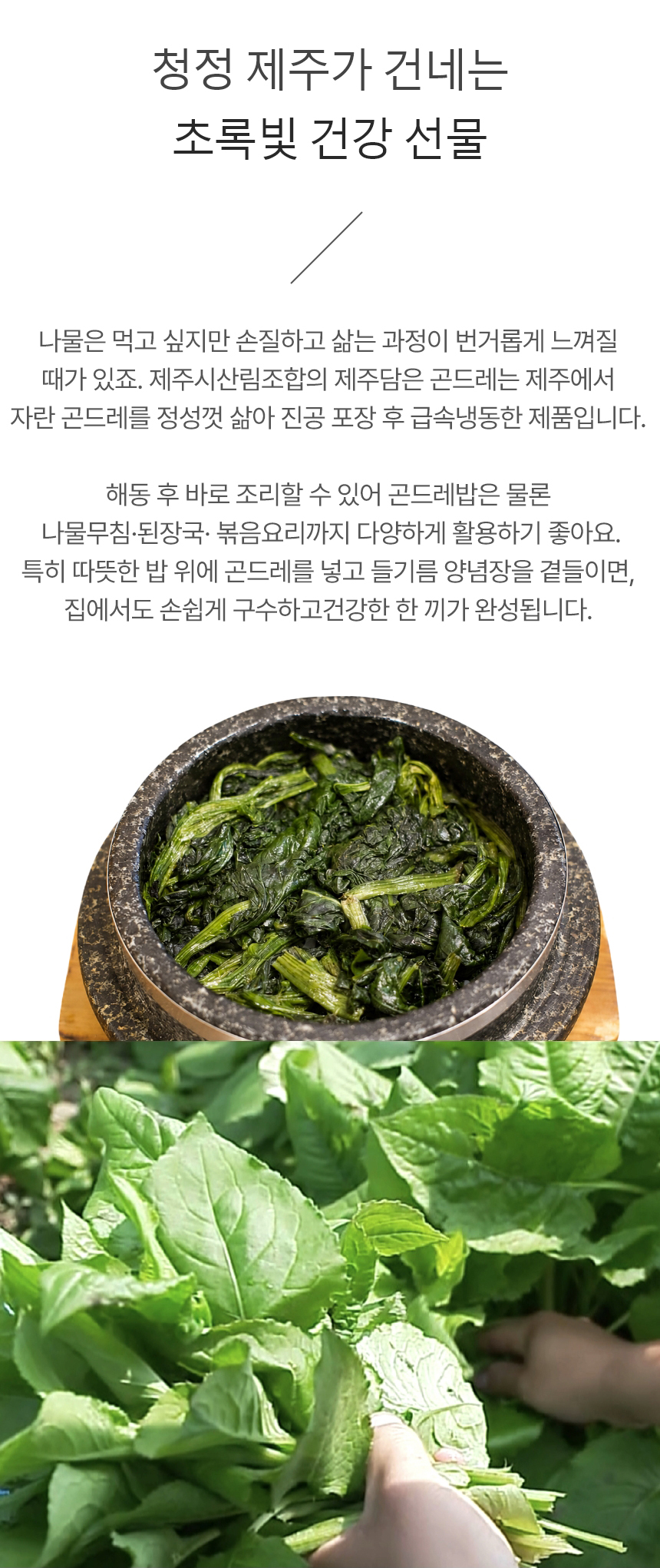 곤드레,제주곤드레,삶은곤드레,곤드레나물,곤드레비빔밥,간편조리,국내산나물,나물반찬,제사나물,나물비빔밥,산채비빔밥