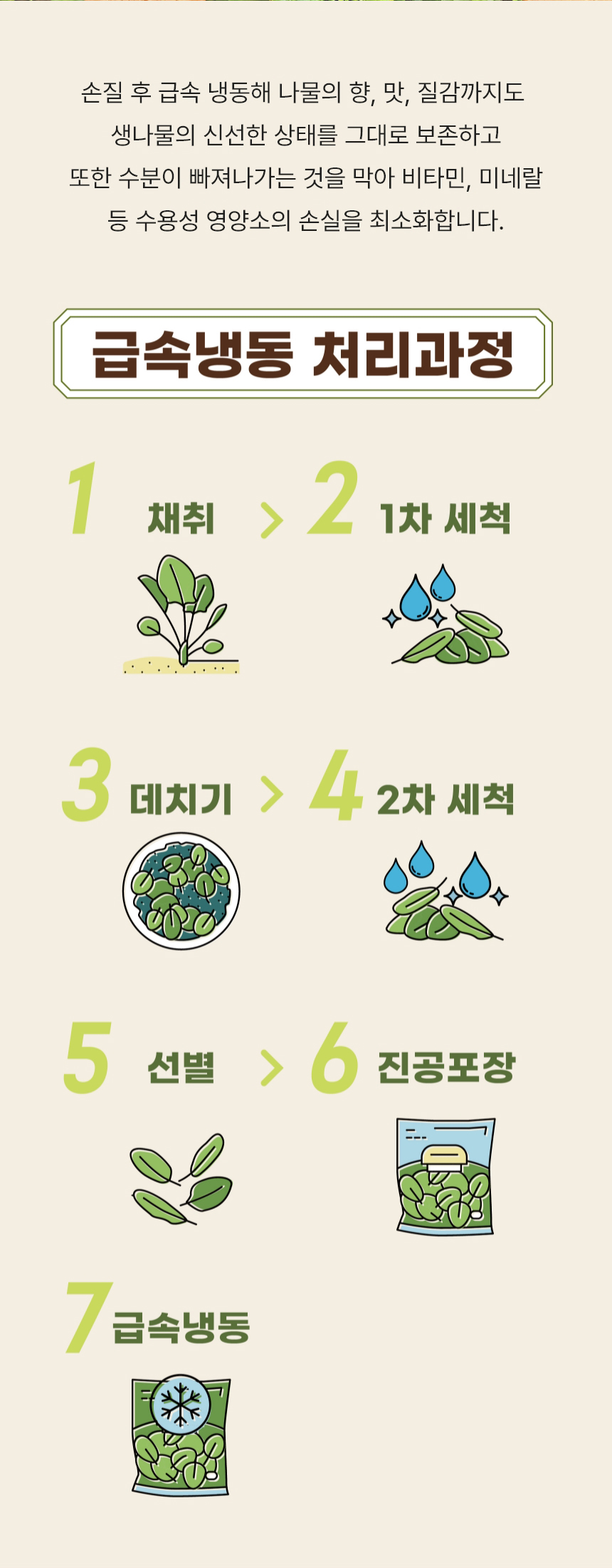 곤드레,제주곤드레,삶은곤드레,곤드레나물,곤드레비빔밥,간편조리,국내산나물,나물반찬,제사나물,나물비빔밥,산채비빔밥