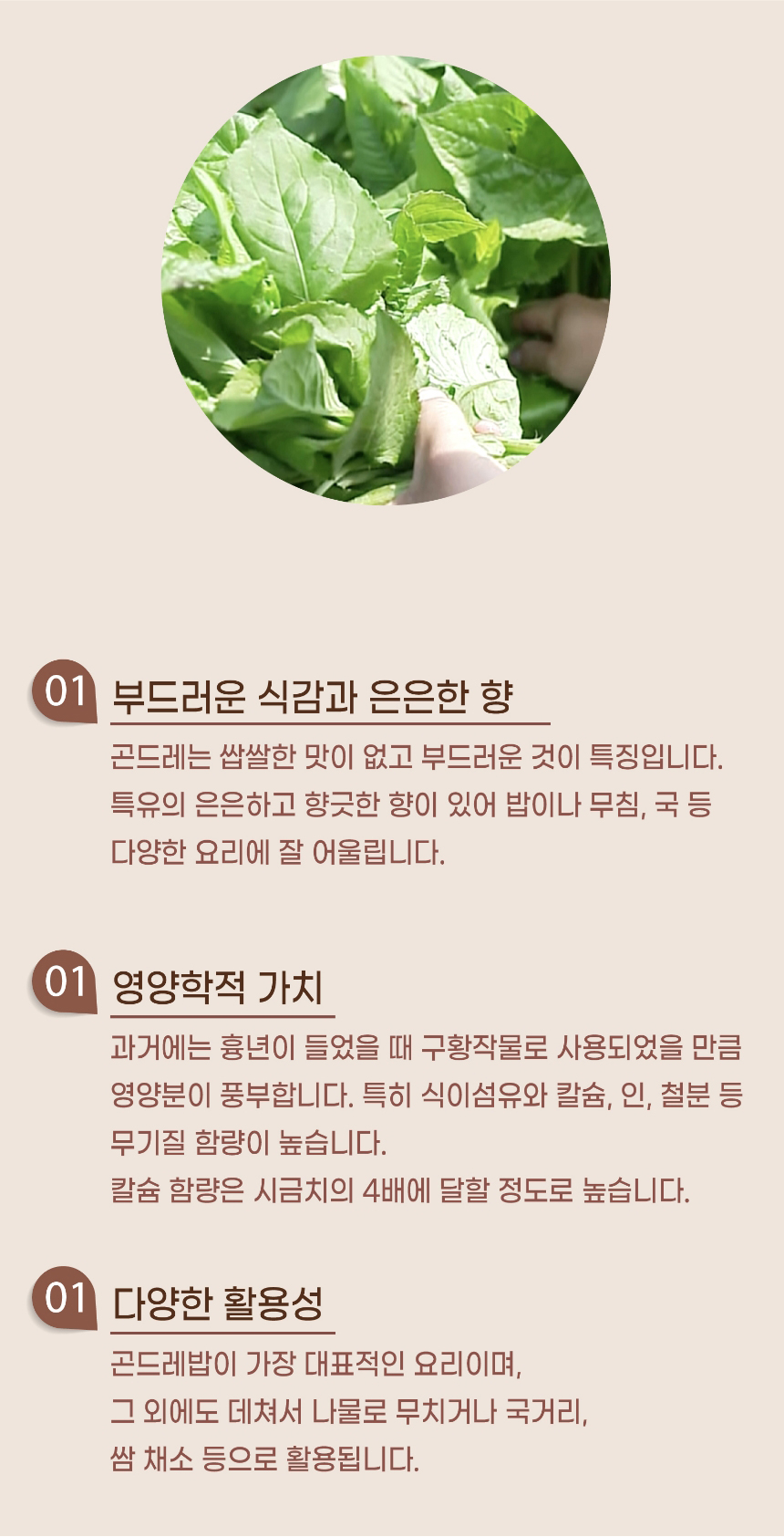 곤드레,제주곤드레,삶은곤드레,곤드레나물,곤드레비빔밥,간편조리,국내산나물,나물반찬,제사나물,나물비빔밥,산채비빔밥