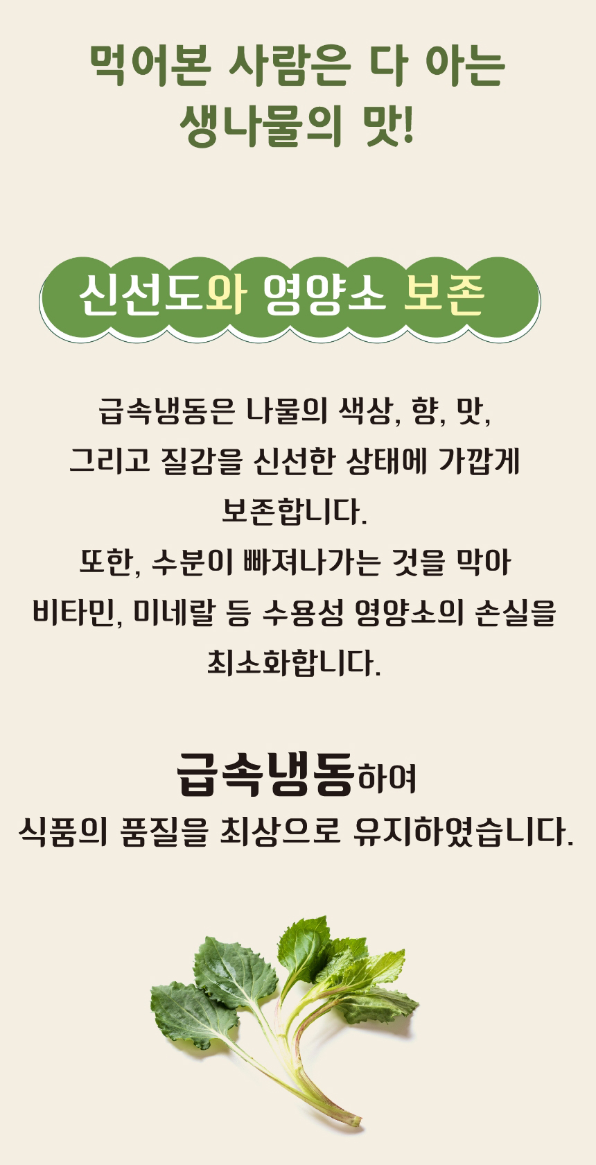 부지깽이,제주부지깽이,삶은부지깽이,부지깽이나물,부지깽이비빔밥,간편조리,국내산나물,나물반찬,제사나물,나물비빔밥,산채비빔밥