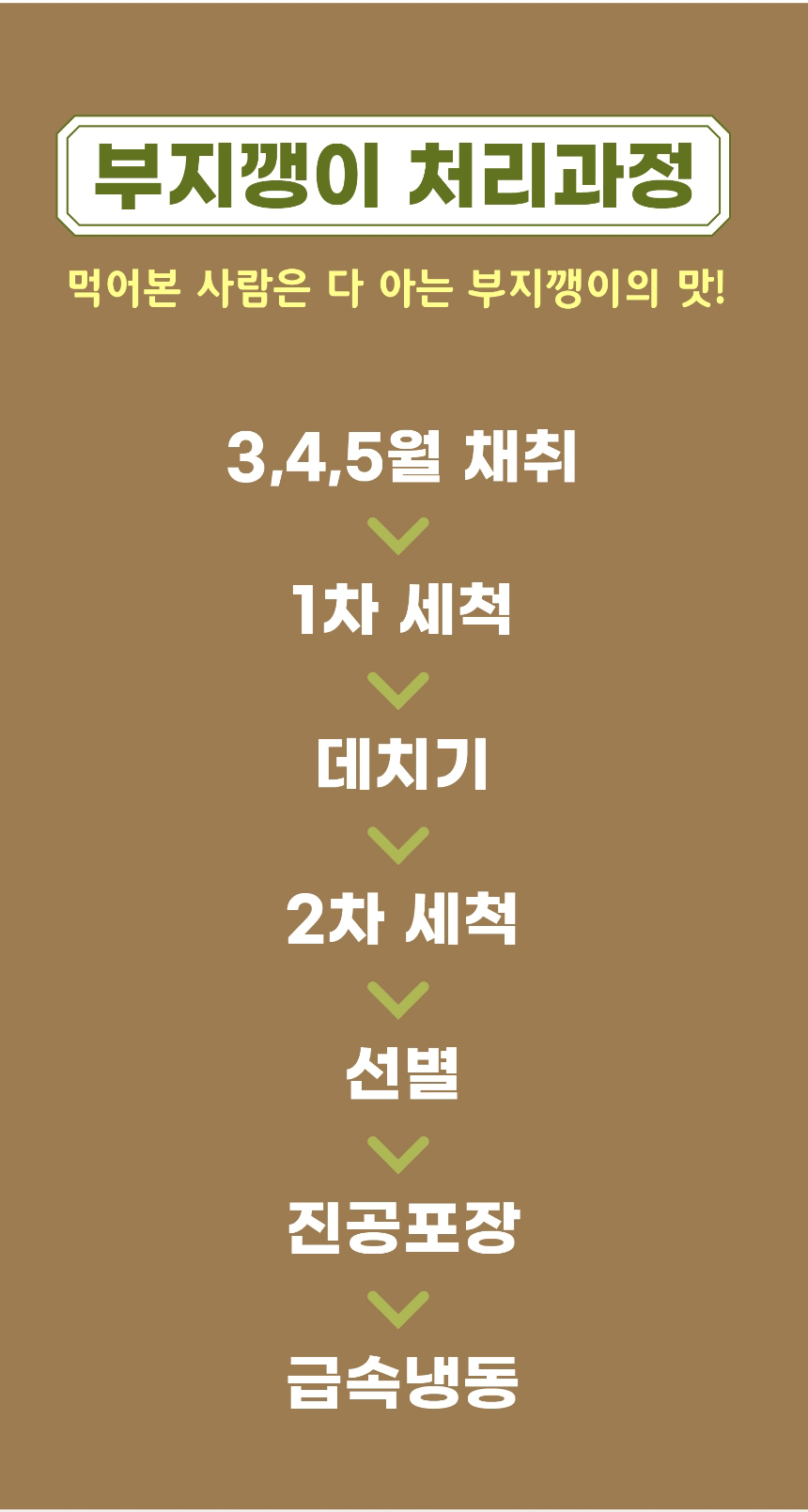 부지깽이,제주부지깽이,삶은부지깽이,부지깽이나물,부지깽이비빔밥,간편조리,국내산나물,나물반찬,제사나물,나물비빔밥,산채비빔밥