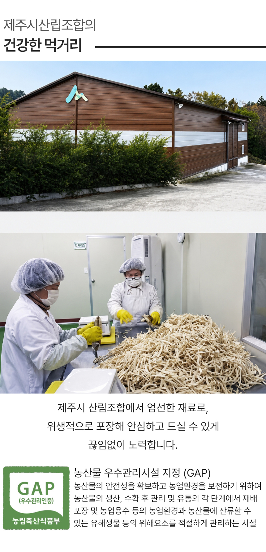 부지깽이,제주부지깽이,삶은부지깽이,부지깽이나물,부지깽이비빔밥,간편조리,국내산나물,나물반찬,제사나물,나물비빔밥,산채비빔밥