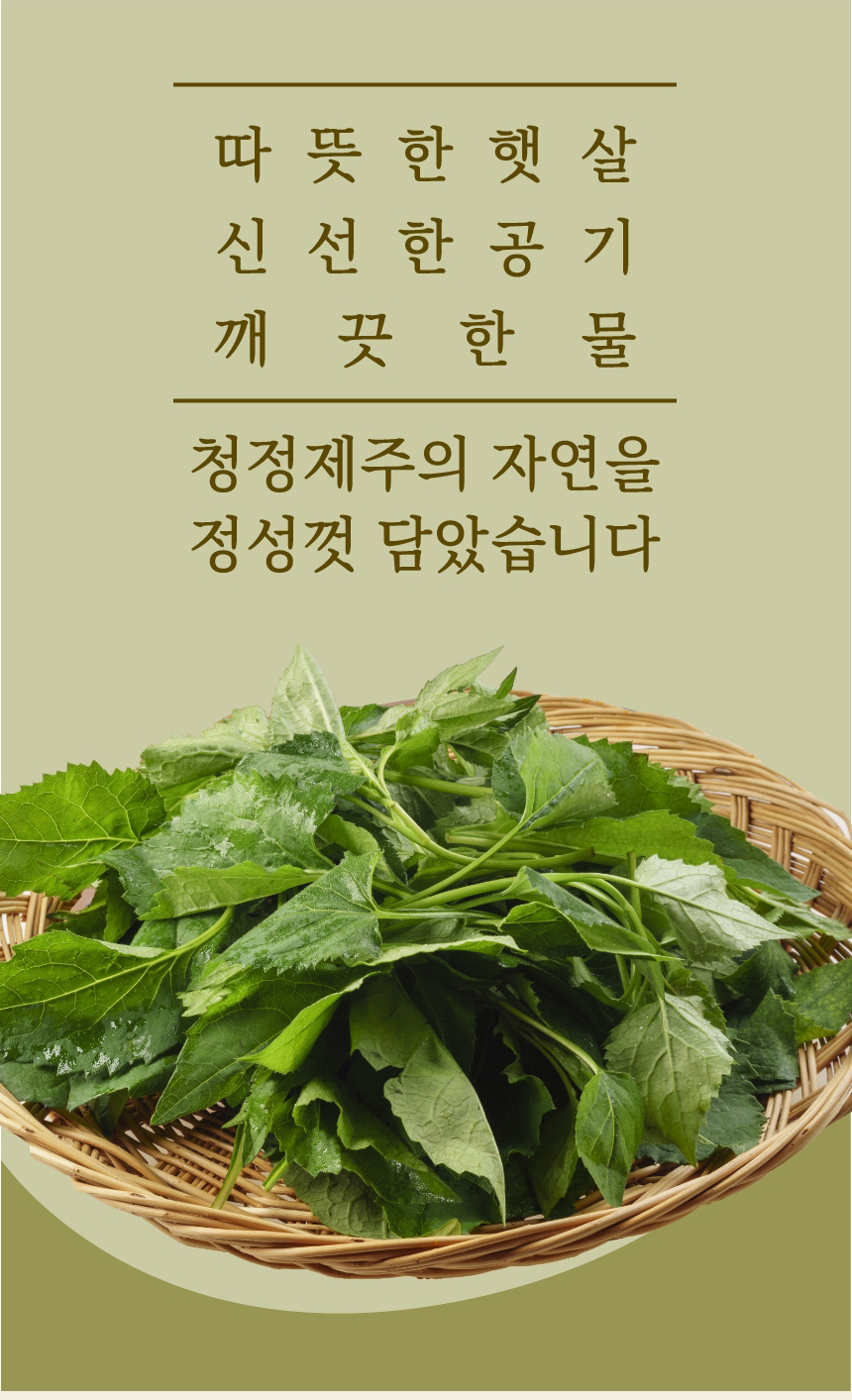 취나물,제주취나물,삶은취나물,취나물나물,취나물비빔밥,간편조리,국내산나물,나물반찬,제사나물,나물비빔밥,산채비빔밥