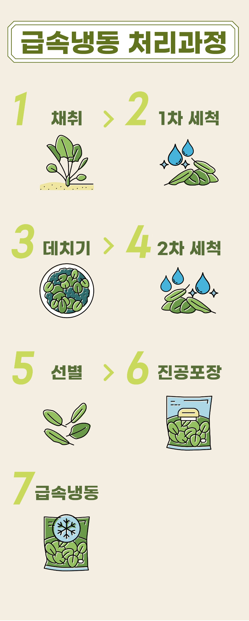 취나물,제주취나물,삶은취나물,취나물나물,취나물비빔밥,간편조리,국내산나물,나물반찬,제사나물,나물비빔밥,산채비빔밥