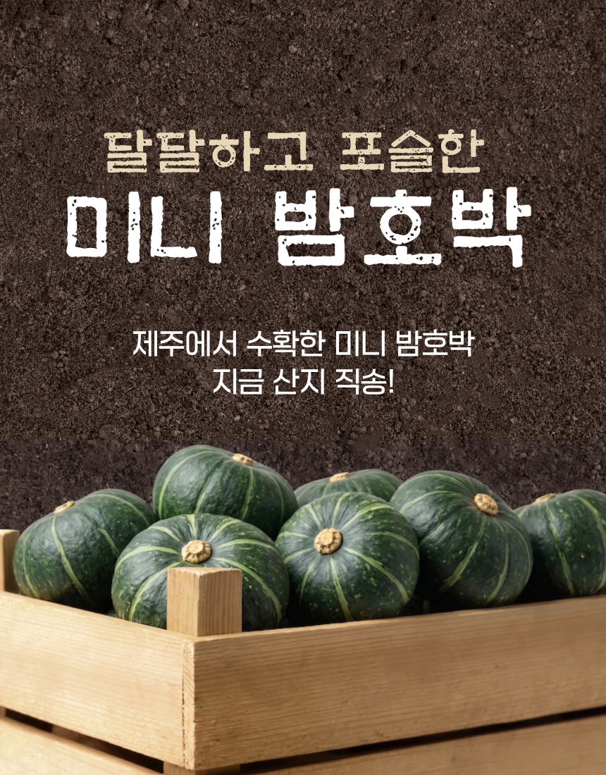 제주미니밤호박(보우짱) 못난이 (250g~750g) 핫딜!! 특가!!
