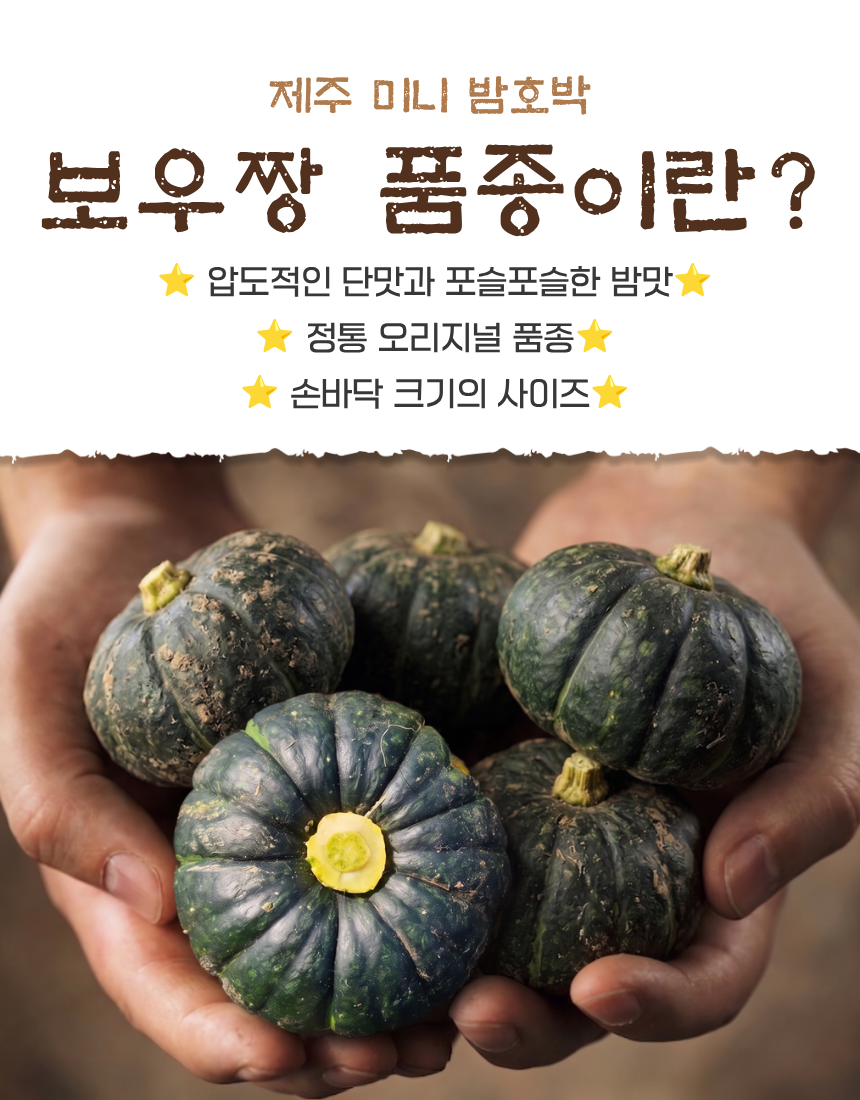 제주미니밤호박(보우짱) 못난이 (250g~750g) 핫딜!! 특가!!