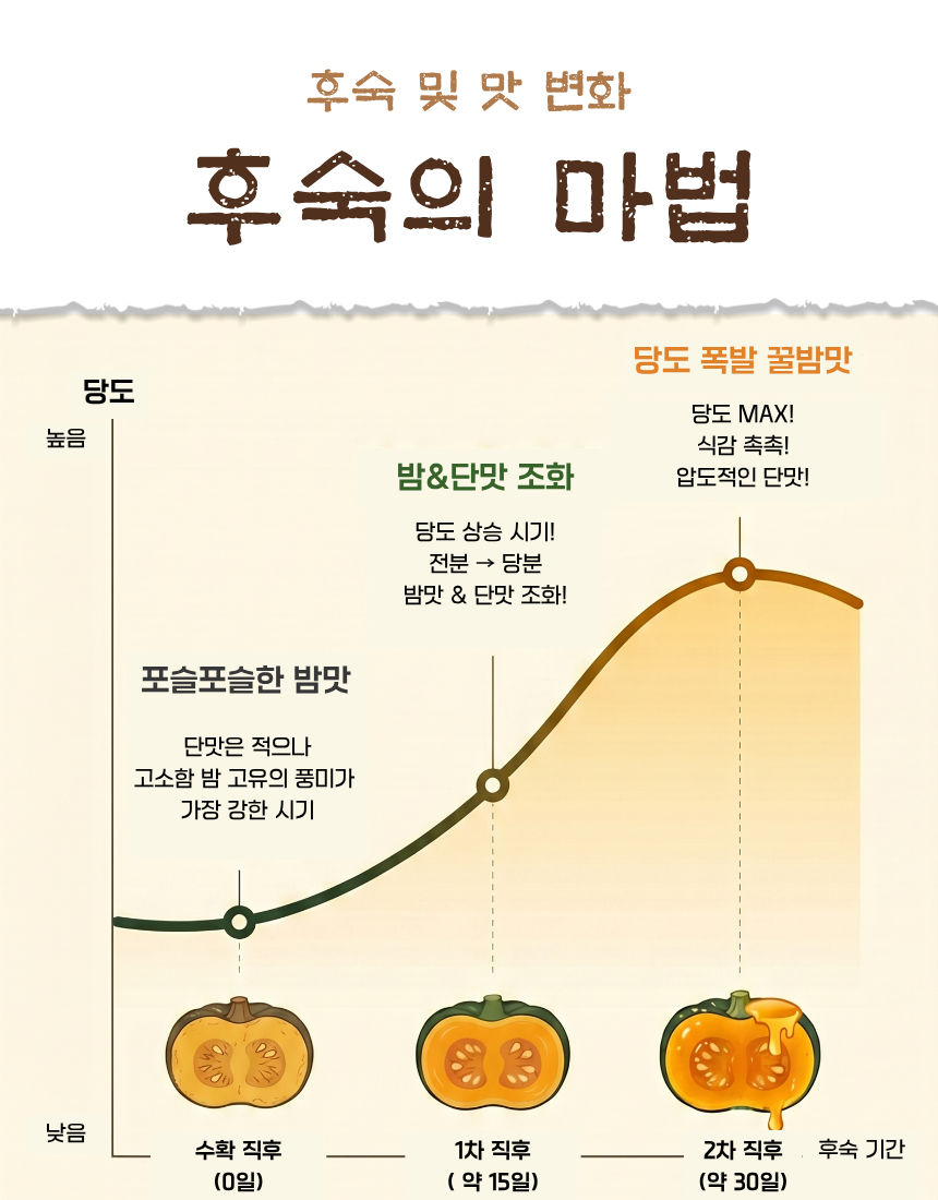 제주미니밤호박(보우짱) 못난이 (250g~750g) 핫딜!! 특가!!