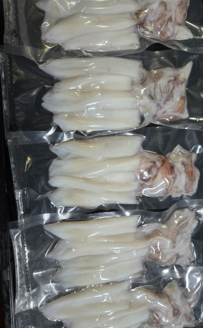 [당일생물 ] 제주 한치 20마리 오늘 발송 내일 도착