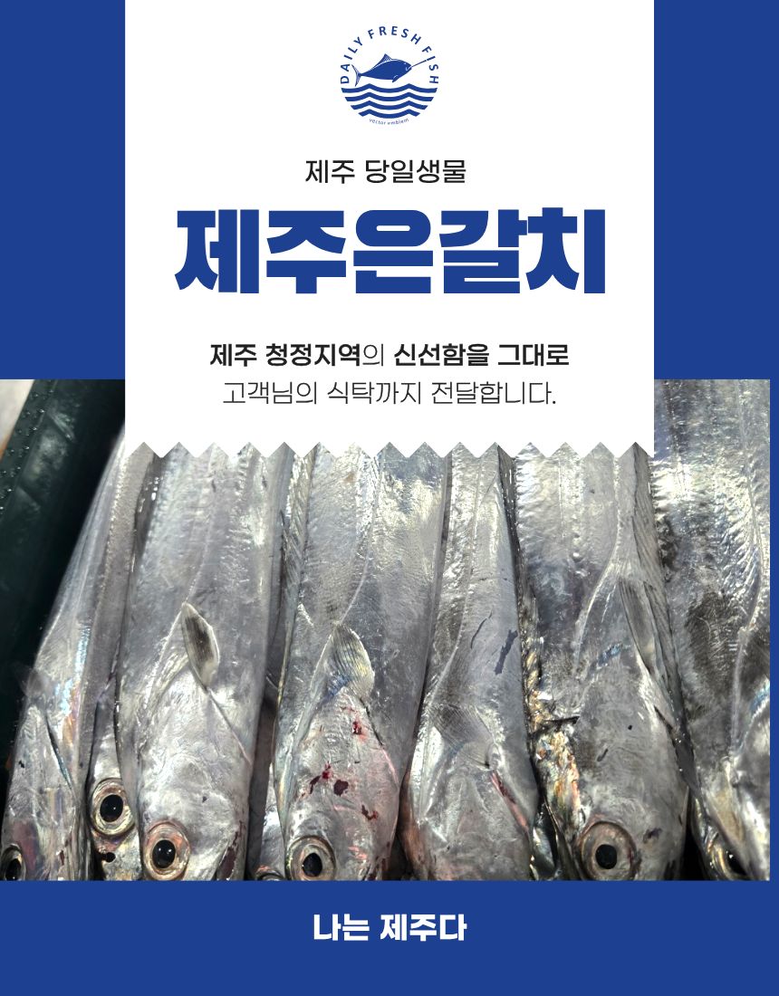 [당일생물 ] 제주 당일바리 은갈치  10kg기준 24마리