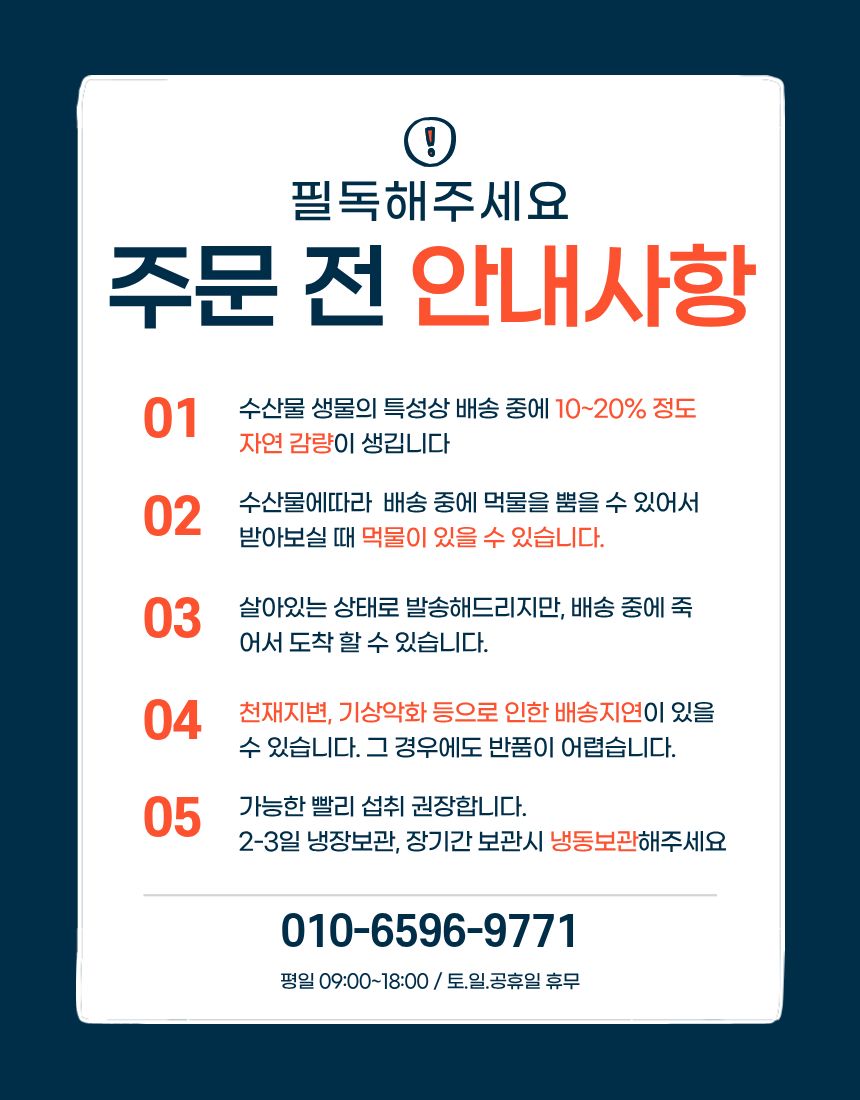 [당일생물 ] 제주 당일바리 은갈치  10kg기준