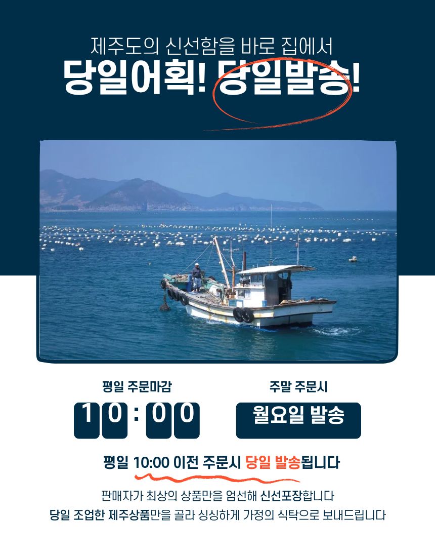 [당일생물 ] 제주 당일바리 은갈치  10kg기준