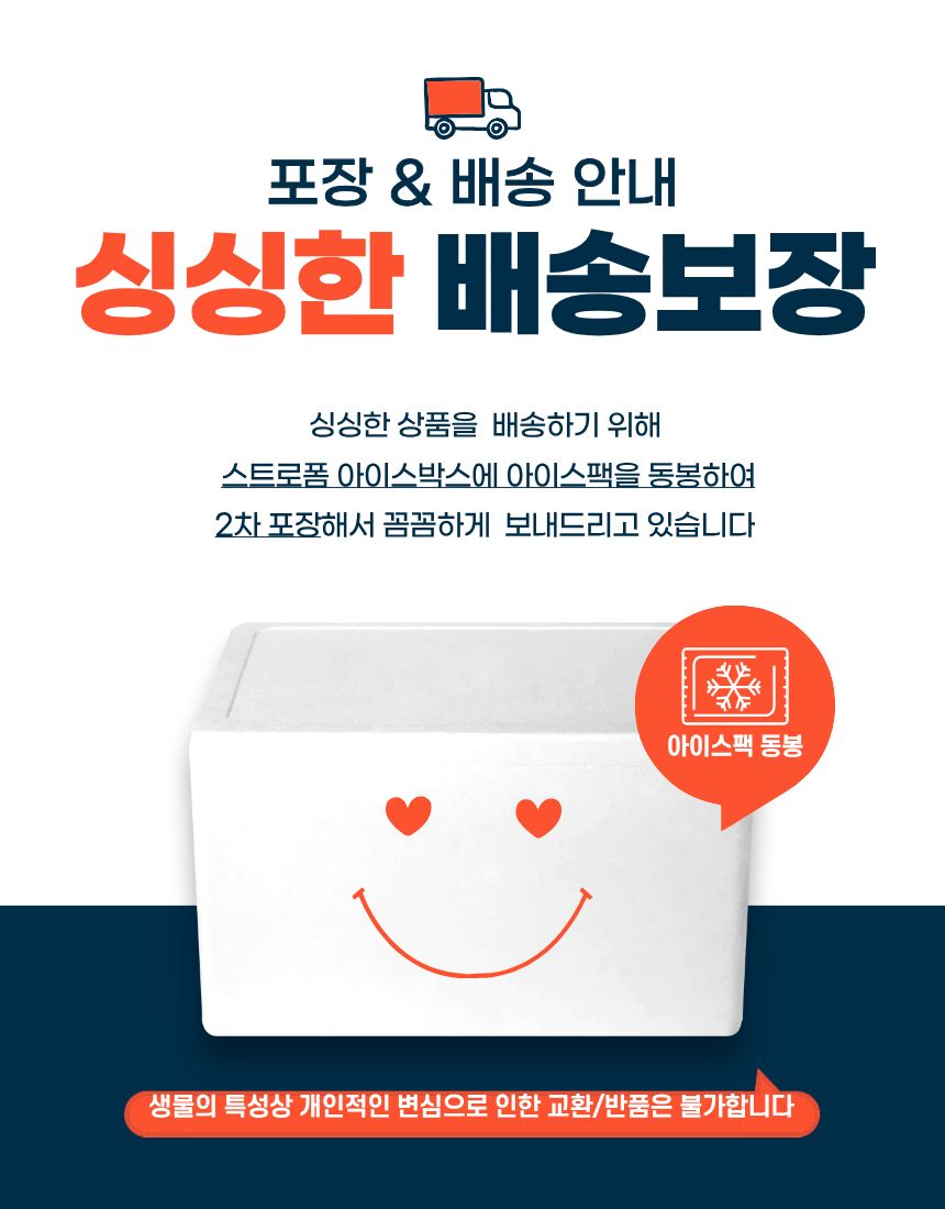 [당일생물 ] 제주 당일바리 은갈치  10kg기준