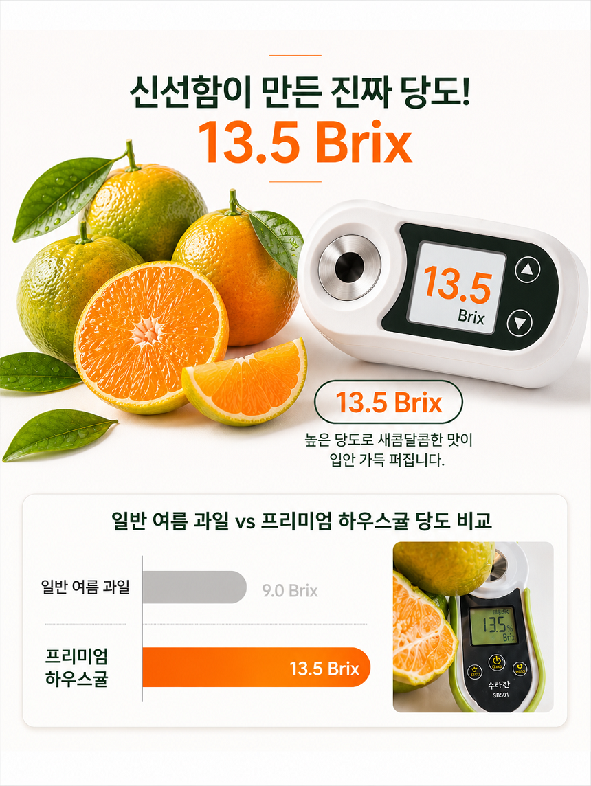 [당근의고백] 청정제주 고당도 하우스 햇 감귤 산지직송 대과 3,5,10kg