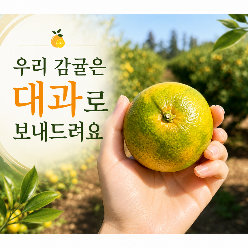 [당근의고백] 청정제주 고당도 하우스 햇 감귤 산지직송 대과 3,5,10kg