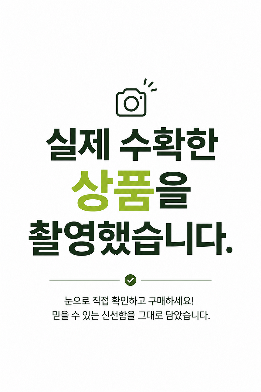 [당근의고백] 청정제주 고당도 하우스 햇 감귤 산지직송 대과 3,5,10kg