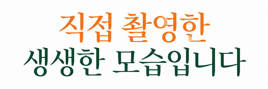 [당근의고백] 청정제주 고당도 하우스 햇 감귤 산지직송 대과 3,5,10kg