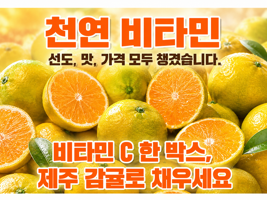 [당근의고백] 청정제주 고당도 하우스 햇 감귤 산지직송 대과 3,5,10kg