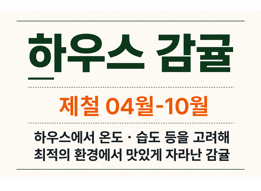 [당근의고백] 청정제주 고당도 하우스 햇 감귤 산지직송 대과 3,5,10kg