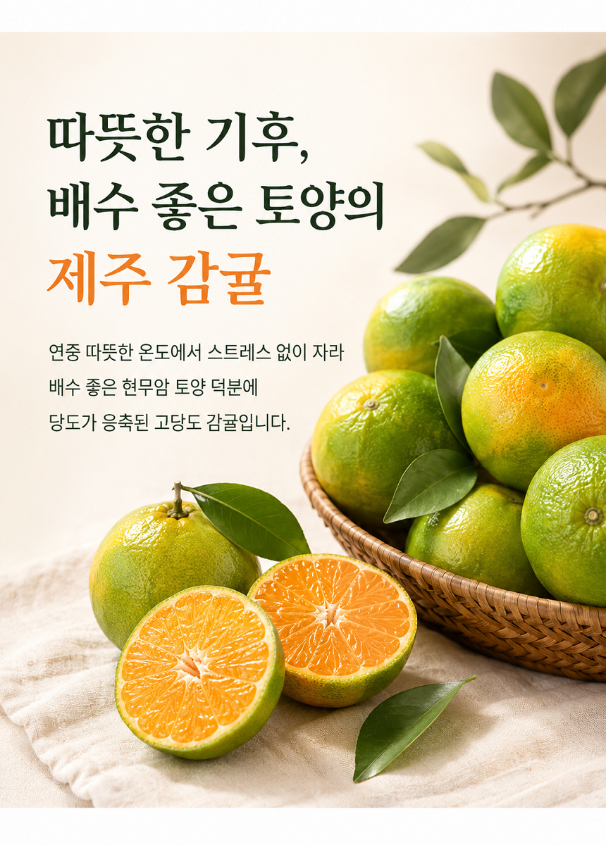 [당근의고백] 청정제주 고당도 하우스 햇 감귤 산지직송 대과 3,5,10kg