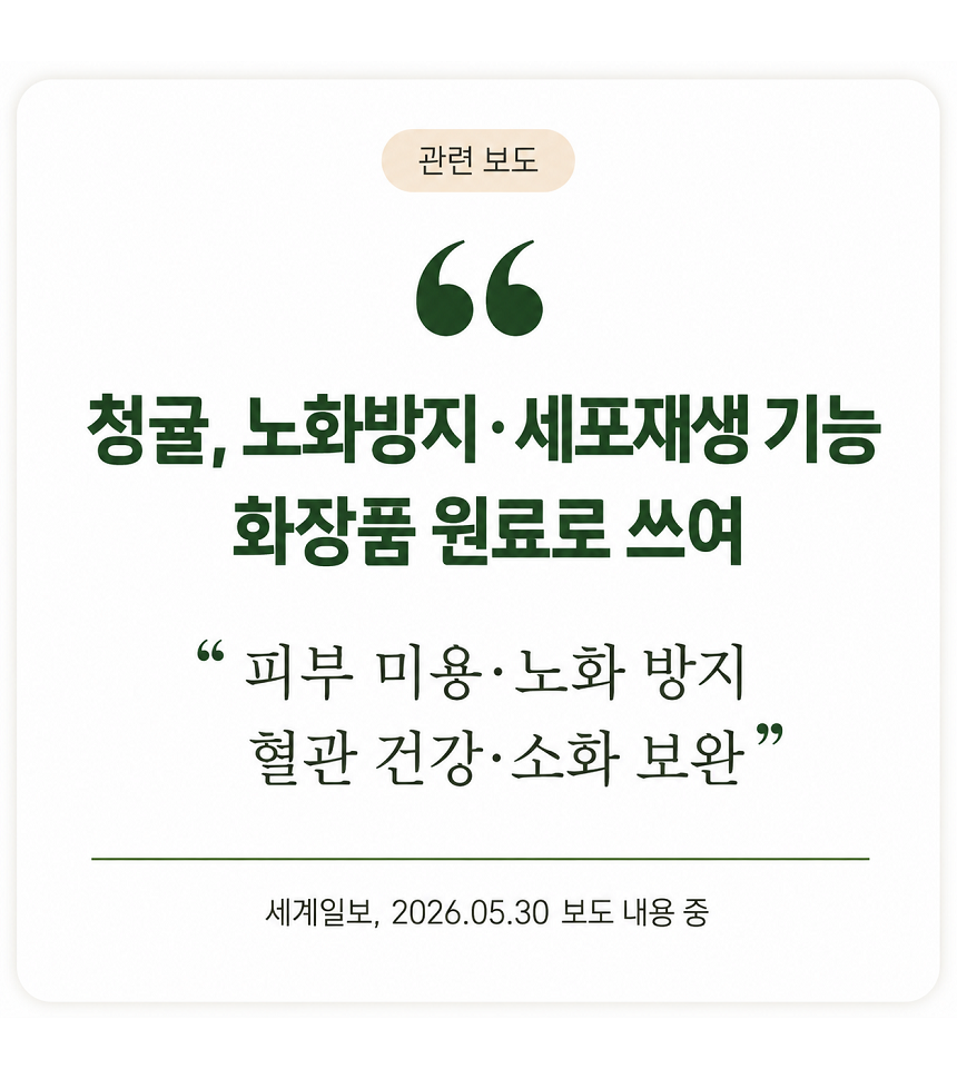 [당근의고백] 제주 프리미엄 새콤시큼 산지직송 청귤 풋귤 (1kg ~ 10kg)