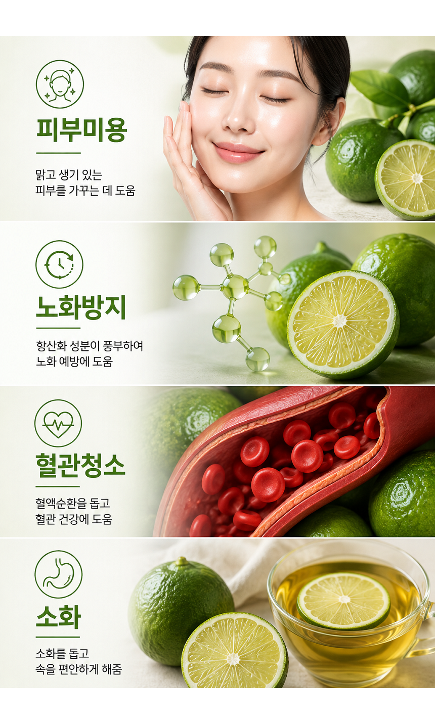 [당근의고백] 제주 프리미엄 새콤시큼 산지직송 청귤 풋귤 (1kg ~ 10kg)