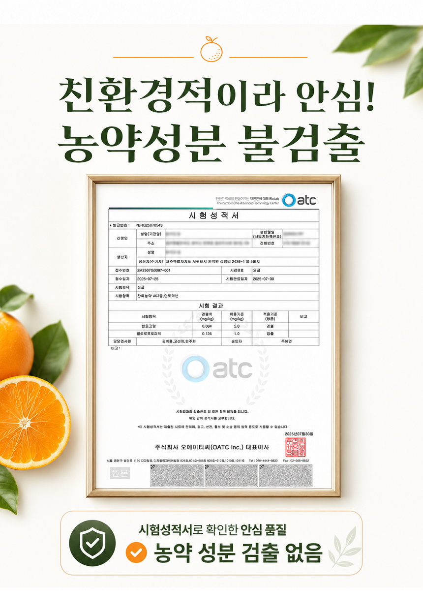 [당근의고백] 제주 프리미엄 새콤시큼 산지직송 청귤 풋귤 (1kg ~ 10kg)