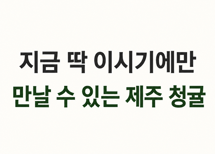 [당근의고백] 제주 프리미엄 새콤시큼 산지직송 청귤 풋귤 (1kg ~ 10kg)