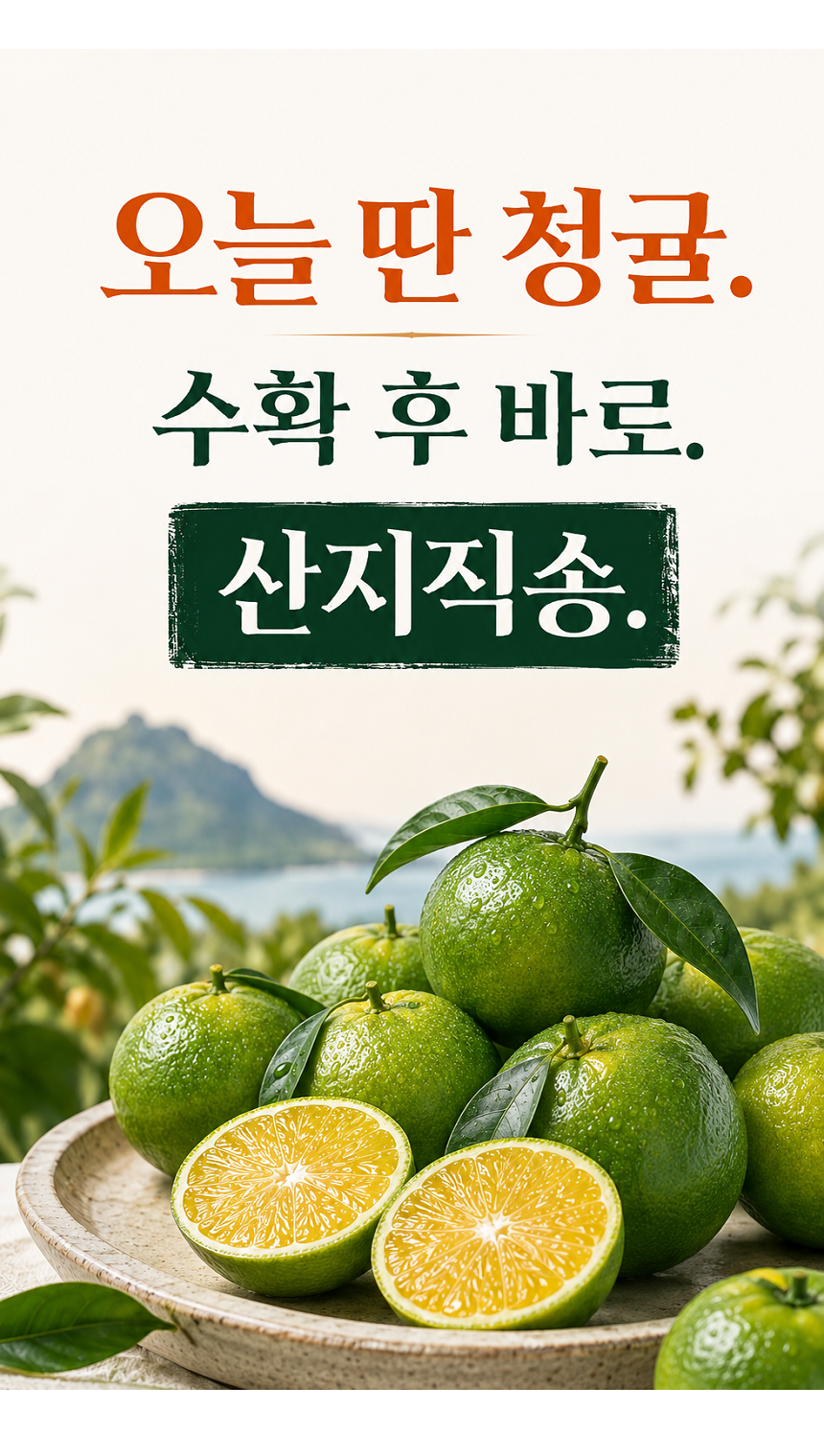 [당근의고백] 제주 프리미엄 새콤시큼 산지직송 청귤 풋귤 (1kg ~ 10kg)