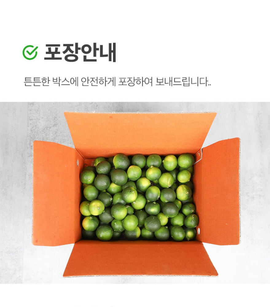[당근의고백] 제주 프리미엄 새콤시큼 산지직송 청귤 풋귤 (1kg ~ 10kg)