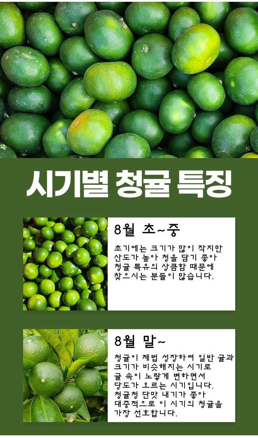 [서귀포] 친환경 특품 청귤 5kg 10kg 청귤청 풋귤생과