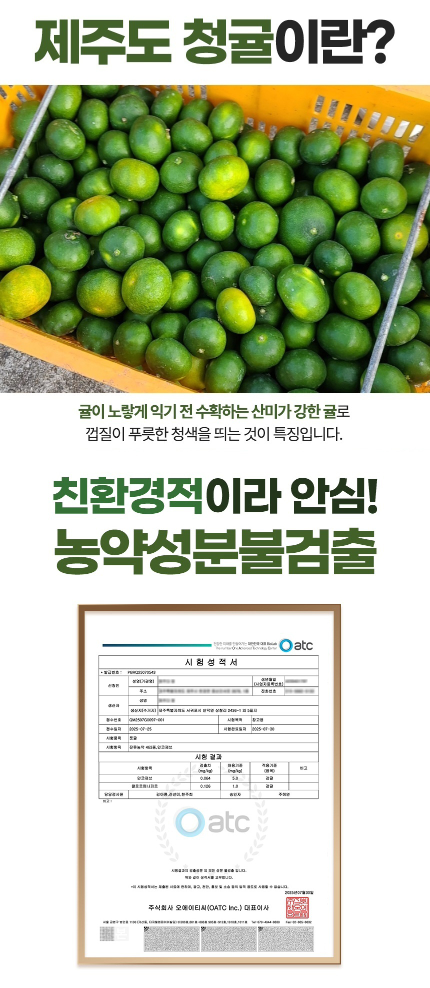 [서귀포] 친환경 특품 청귤 5kg 10kg 청귤청 풋귤