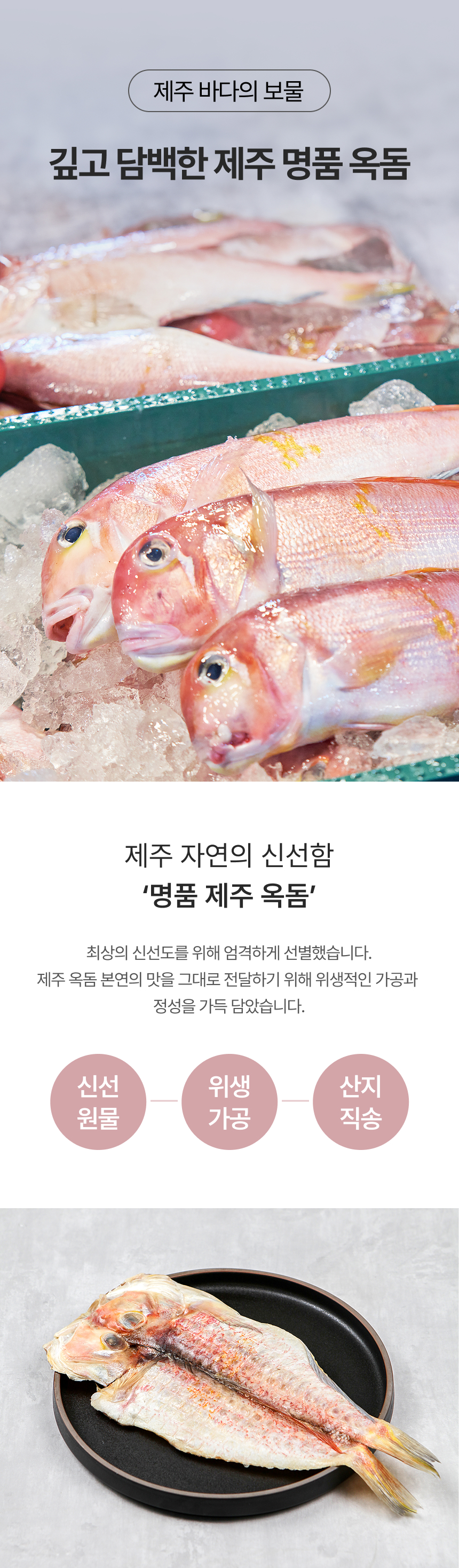 제주바당! 제주 제주도 대표생선 옥돔, 뼈없는 순살갈치 실속 모음 구이구이 제주고등어