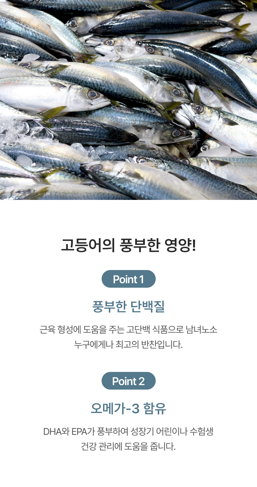 제주바당! 제주 제주도 대표생선 옥돔, 뼈없는 순살갈치 실속 모음 구이구이 순살생선