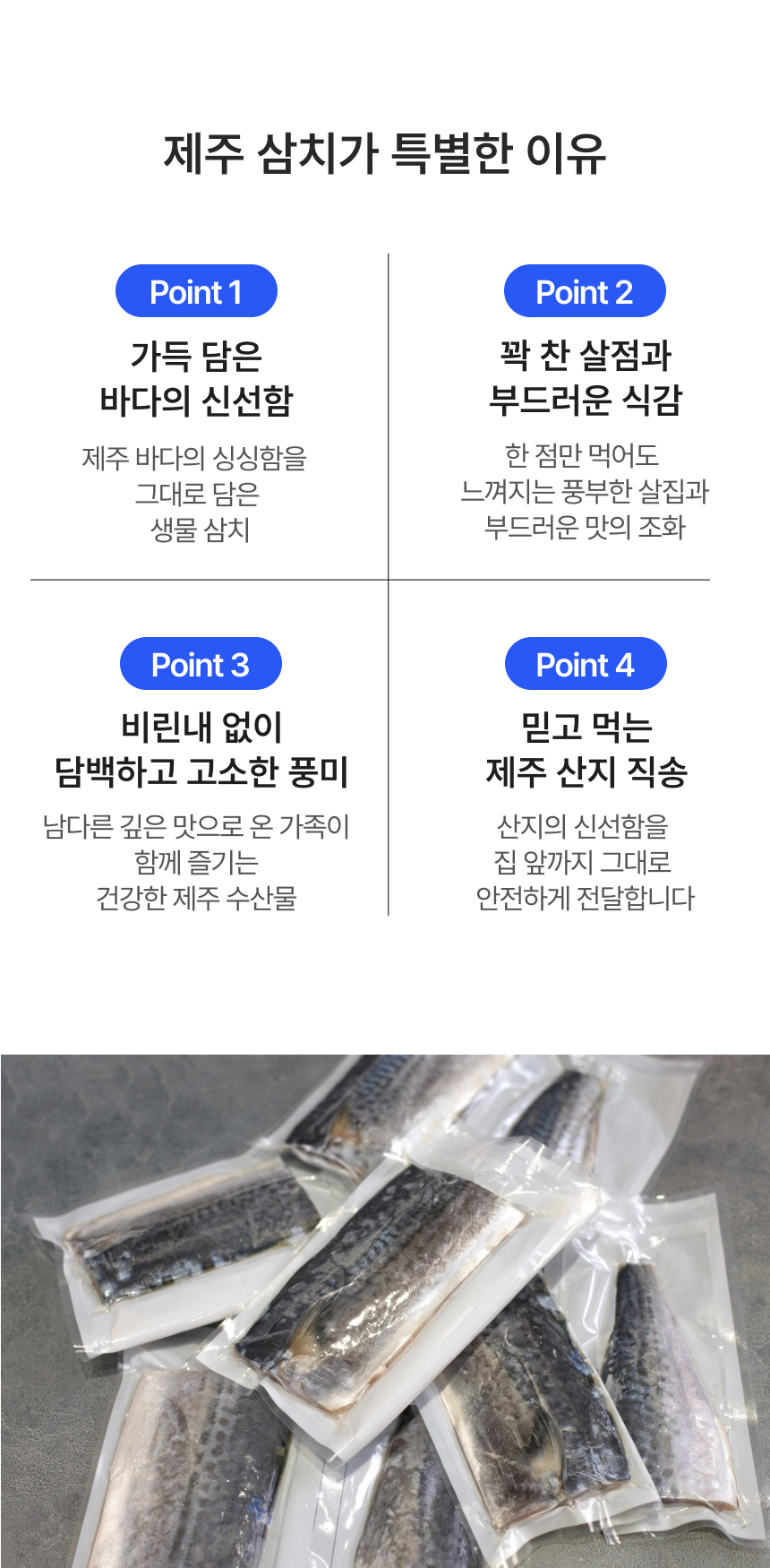 제주바당! 제주 제주도 대표생선 옥돔, 뼈없는 순살갈치 실속 모음 구이구이 제주선물