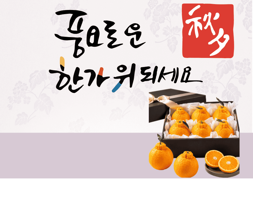 [당근의고백] 청정제주 고당도 한라봉 추석 선물세트  3-5kg