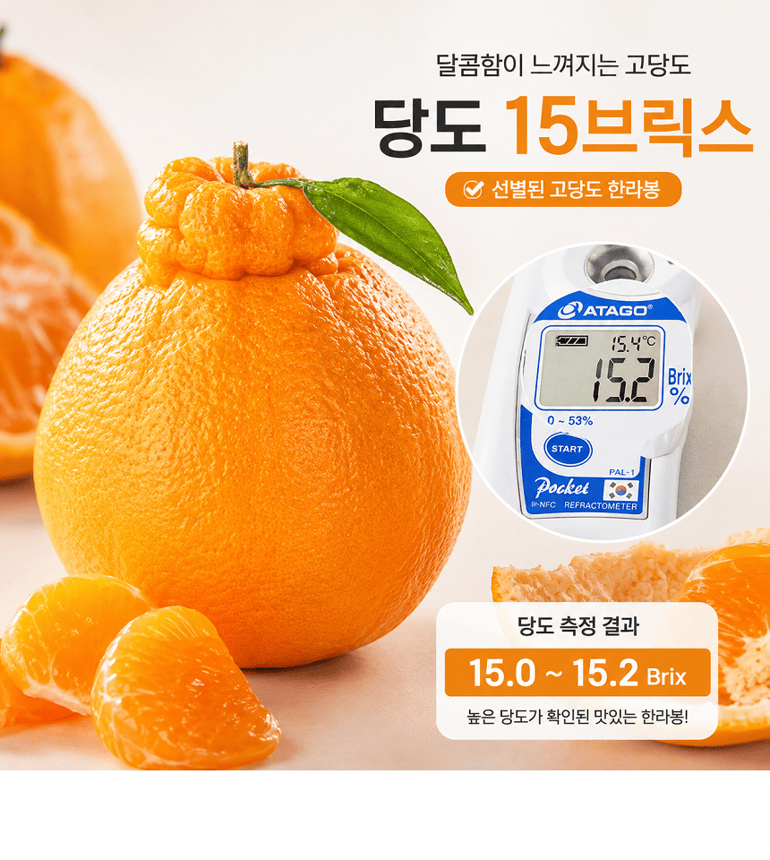 [당근의고백] 청정제주 고당도 한라봉 추석 선물세트  3-5kg