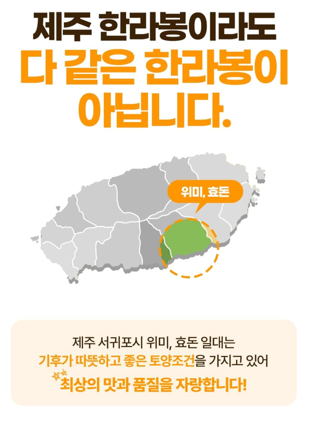 [당근의고백] 청정제주 고당도 한라봉 추석 선물세트  3-5kg