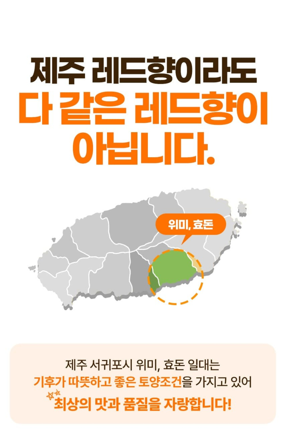 [당근의고백] 청정제주 고당도 레드향 추석 선물세트  3-5kg