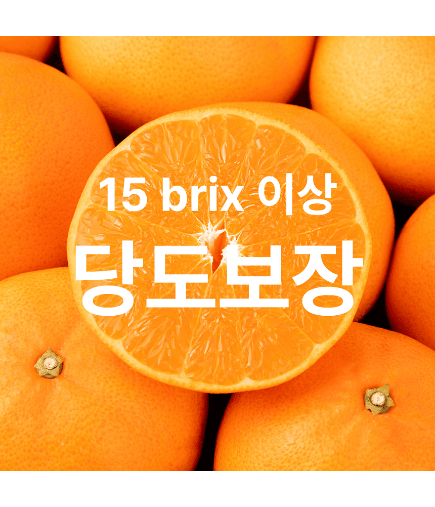 [당근의고백] 청정제주 고당도 처혜향 추석 선물세트  3-5kg