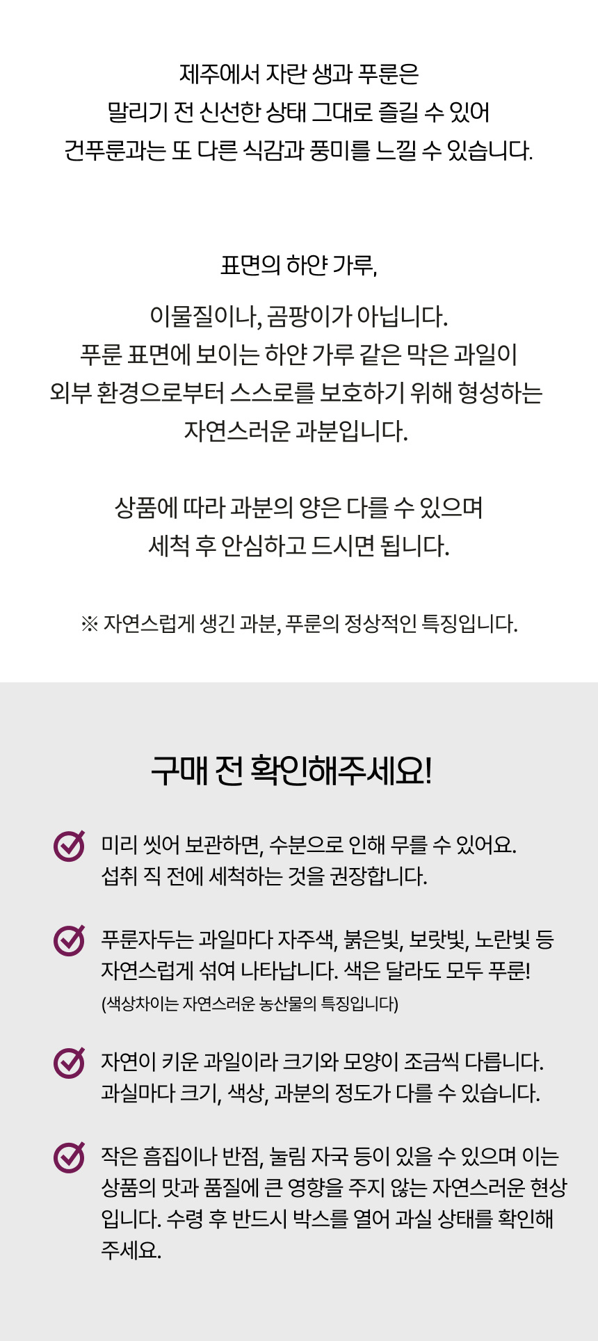 홍베리 제주에서 나는 생 푸룬 자두 생과 농장직송 1kg GAP 인증 생푸룬