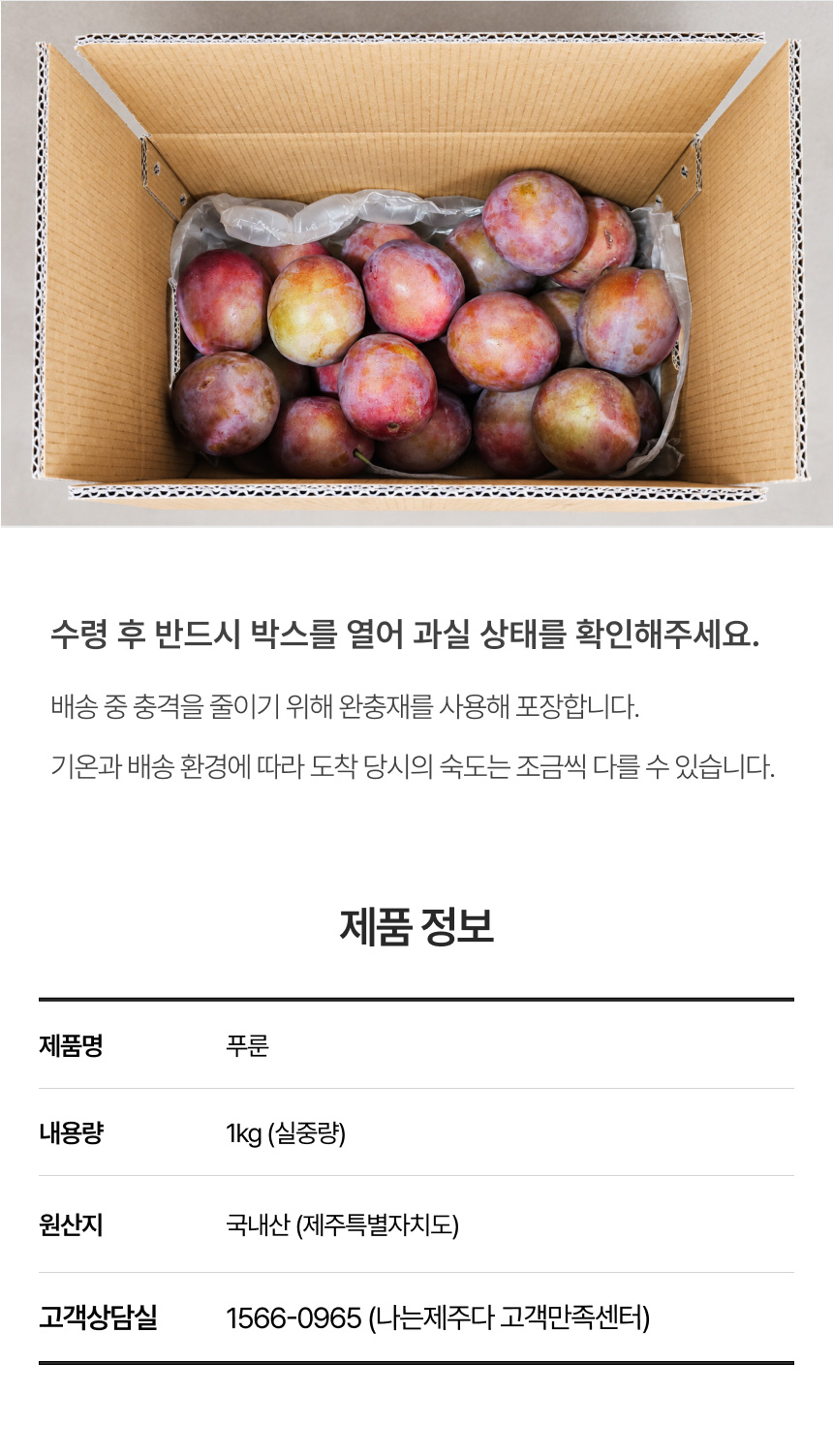 홍베리 제주에서 나는 생 푸룬 자두 생과 농장직송 1kg GAP 인증 생푸룬자두