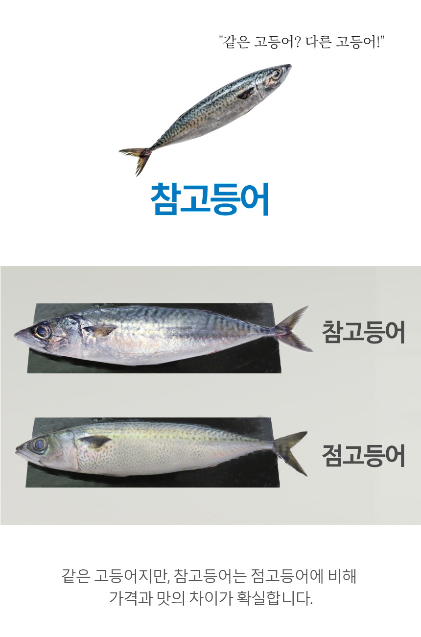 창해수산 제주 고등어 순살 1kg 500g 구이 조림 실속형 가정용 반찬 고등어살