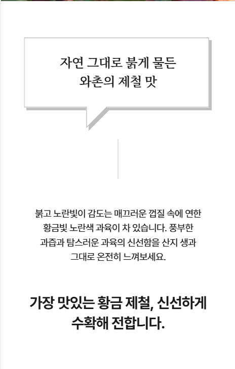 국내산 와촌 햇자두 새콤달콤 중대과 대과 농장직송