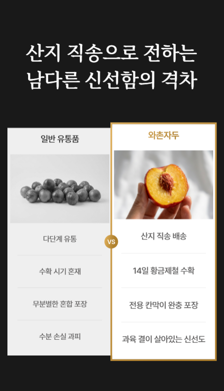 국내산 와촌 햇자두 새콤달콤 중대과 대과 비타민함유