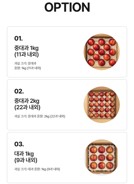 국내산 와촌 햇자두 새콤달콤 중대과 대과 디저트볼